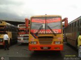Transporte Unido (VAL - MCY - CCS - SFP) 062, por Alvin Rondon