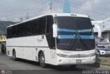 Bus Ven 3126
