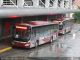 Bus CCS 1308 por Alfredo Montes de Oca