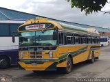 ZU - Colectivos Concepcin 070