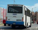 Unin Sucre 099 Centrobuss Mini-Buss32 Mercedes-Benz LO-915