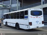 Transporte Unido 035 por �ngel Sal�n