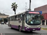 Consorcio del Corredor Morado 400 por Leonardo Saturno