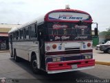 Expresos La Gran Colombia 28