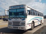 Colectivo Matera Nueva 20
