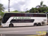 Expresos Flamingo 0108, por Alvin Rondon