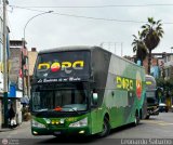 Trans Dora (Per) 954