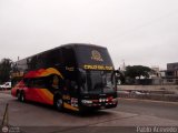 Transportes Cruz del Sur S.A.C. (Perú) 8040