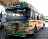 ZU - Colectivos Concepci�n 059