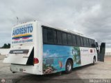 Expresos La Guayanesa 319, por M�guel Pino
