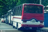 Ruta Metropolitana de Guarenas - Guatire 440 por Pablo Acevedo