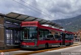 Trolmerida - Tromerca 16