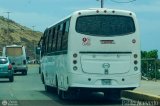 Transporte Virgen del Carmen 22 por Pablo Acevedo
