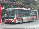 Bus CCS 1282, por Alfredo Montes de Oca