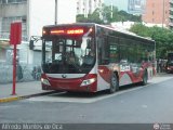 Bus CCS 1173, por Alfredo Montes de Oca