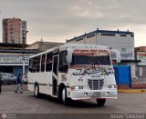 Ejecutivos Kova 071, por Josue Snchez