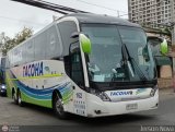 Buses Tacoha (Chile) 162, por Jerson Nova