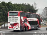 Grupo Laes 107 por Leonardo Saturno