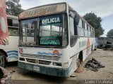 ZU - Colectivos Los Laureles C.A 20