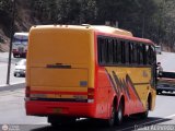 Transporte Unido (VAL - MCY - CCS - SFP) 038