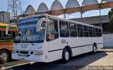 Transporte Bonanza 05