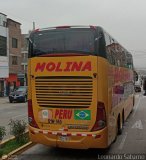 Transportes Molina Perú S.A.C. 965,