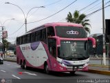 Tours Angel Divino S.A.C. 266 por Leonardo Saturno