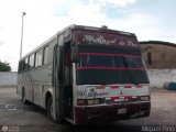 Expresos La Guayanesa 321 por M�guel Pino
