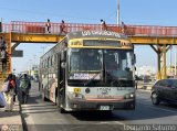 E.T. y Servicios San Jos� S.A. 151 por Leonardo Saturno