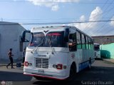 L�nea Altagracia 99 por Santiago Dorante