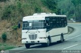 S.C. L�nea Transporte Expresos Del Chama 004 por Pablo Acevedo