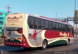 Empresa de Transporte Perú Bus S.A. 967