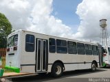 Particular o Desconocido 098 por M�guel Pino
