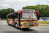 Cooperativa Canaima 24