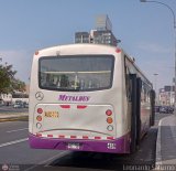 Consorcio del Corredor Morado 459 por Leonardo Saturno