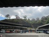 Garajes Paradas y Terminales Caracas