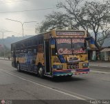 Transporte Guacara 183, por Carlos Jara