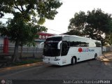 Expresos Occidente 494