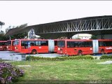 Garajes Paradas y Terminales Bogota Marcopolo Viale Volvo B10M