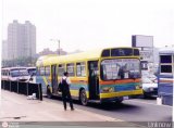 Ruta Metropolitana de La Gran Caracas 999 Leyland National Mark I Daf Diesel 218hp
