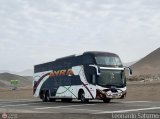 Buses Ayra (Per�) 958