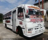 A.C. Transporte Paez 040 por Yenderson Fernndez C.