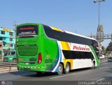 Expreso Internacional Palomino 8013, por Leonardo Saturno