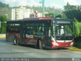 Bus CCS 1302, por Alfredo Montes de Oca