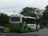 A.C. Cristbal Rojas 102 Servibus de Venezuela ServiCity I Iveco Serie TurboDaily