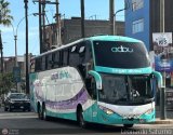 Tours Angel Divino S.A.C. (Per) 237, por Leonardo Saturno