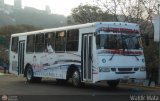 CO - Bus Cojedes 28