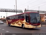 Empresa de Transporte Per Bus S.A. 290, por Leonardo Saturno