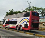 Expresos Occidente 010