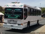 Colectivos La Rosita 011